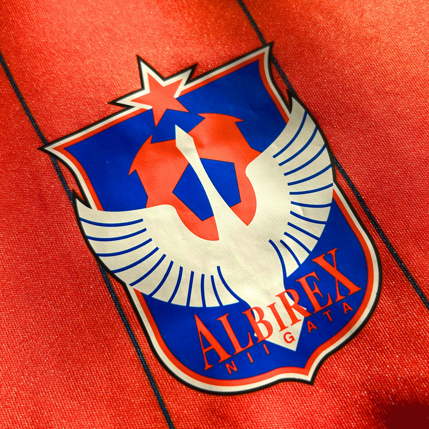 2012-13 Albirex Niigata Home Shirt - L