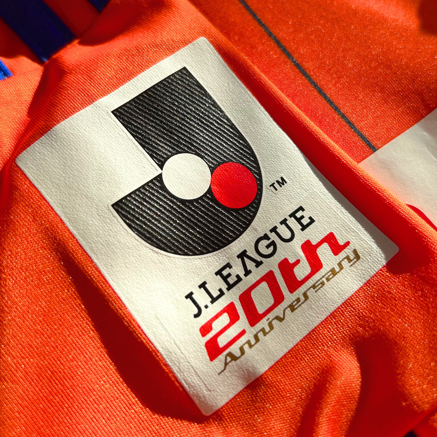 2012-13 Albirex Niigata Home Shirt - L